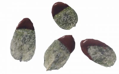 flores-comestibles-georganica-Hoja de menta con chocolate