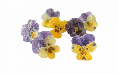 flores-comestibles-georganica-Pensamiento petite dulce