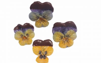 flores-comestibles-georganica-Pensamientos Petite Chocolate