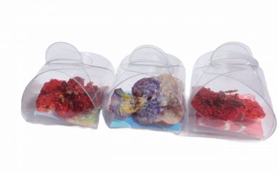 flores-comestibles-georganica-Souvenir chico flores con chile