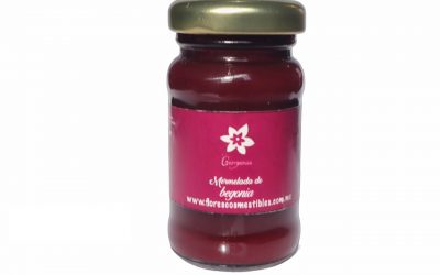 flores-comestibles-georganica-mermelada de begonia 150gr